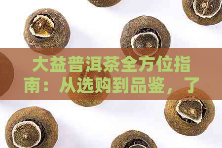 大益普洱茶全方位指南：从选购到品鉴，了解普洱茶的完整知识