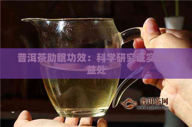 普洱茶助眠功效：科学研究证实的健益处