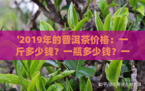 '2019年的普洱茶价格：一斤多少钱？一瓶多少钱？一饼多少钱？'