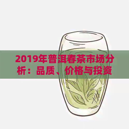 2019年普洱春茶市场分析：品质、价格与投资趋势全面解析