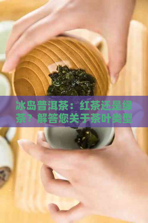 冰岛普洱茶：红茶还是绿茶？解答您关于茶叶类型的疑问