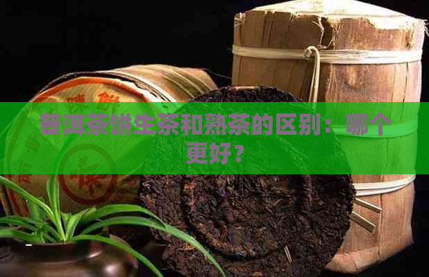 普洱茶饼生茶和熟茶的区别：哪个更好？