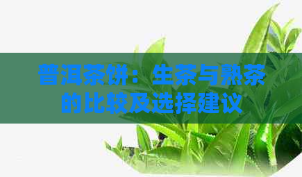 普洱茶饼：生茶与熟茶的比较及选择建议