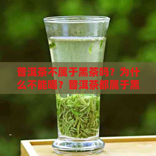 普洱茶不属于黑茶吗？为什么不能喝？普洱茶都属于黑茶吗？