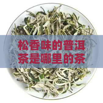 松香味的普洱茶是哪里的茶