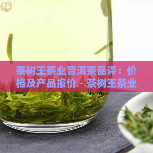 茶树王茶业普洱茶品评：价格及产品报价 - 茶树王茶业