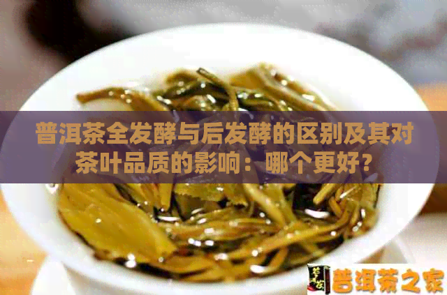 普洱茶全发酵与后发酵的区别及其对茶叶品质的影响：哪个更好？