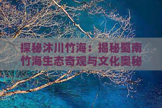 探秘沐川竹海：揭秘蜀南竹海生态奇观与文化奥秘