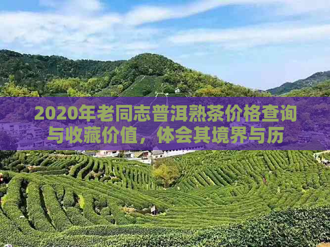 2020年老同志普洱熟茶价格查询与收藏价值，体会其境界与历