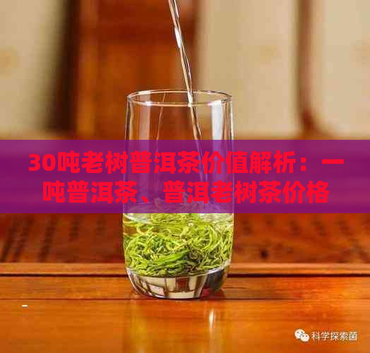 30吨老树普洱茶价值解析：一吨普洱茶、普洱老树茶价格是多少？