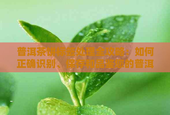 普洱茶饼标签处理全攻略：如何正确识别、保存和品鉴您的普洱茶饼