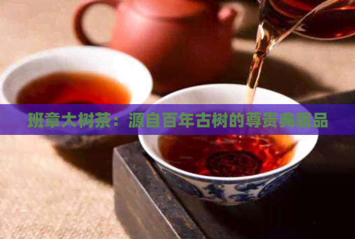 班章大树茶：源自百年古树的尊贵典藏品