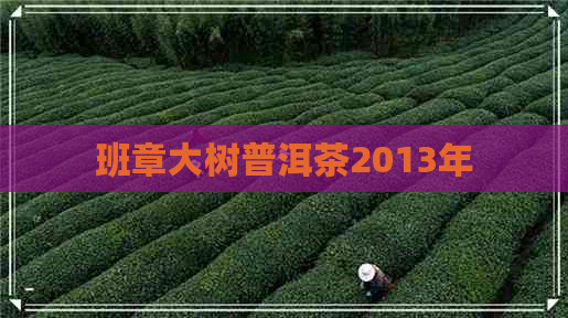 班章大树普洱茶2013年