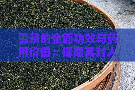 雪茶的全面功效与药用价值：探索其对人体健的多种益处