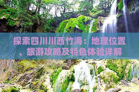 探索四川川西竹海：地理位置、旅游攻略及特色体验详解