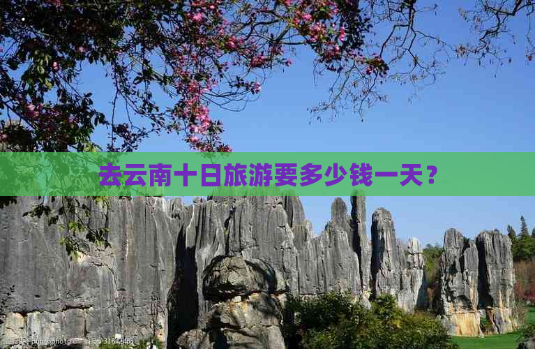 去云南十日旅游要多少钱一天？