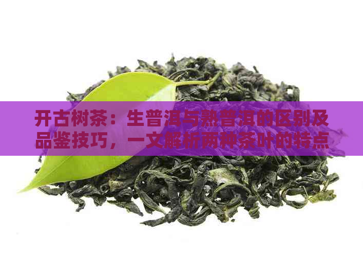 开古树茶：生普洱与熟普洱的区别及品鉴技巧，一文解析两种茶叶的特点