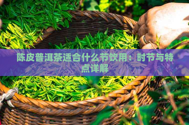 陈皮普洱茶适合什么节饮用：时节与特点详解