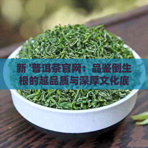 新 '普洱茶官网：品鉴倒生根的越品质与深厚文化底蕴'