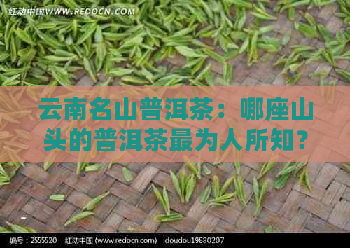 云南名山普洱茶：哪座山头的普洱茶最为人所知？