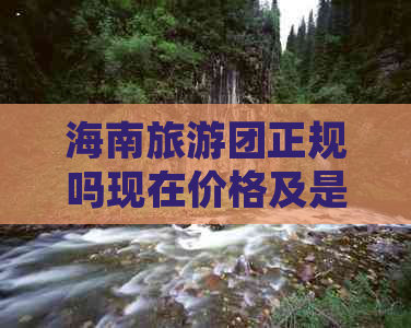 海南旅游团正规吗现在价格及是否可行情况汇总