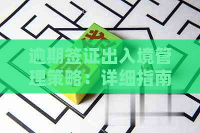 逾期签证出入境管理策略：详细指南与应对措