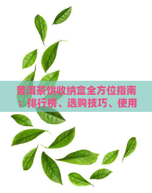 普洱茶饼收纳盒全方位指南：排行榜、选购技巧、使用心得一应俱全！