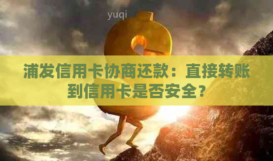 浦发信用卡协商还款：直接转账到信用卡是否安全？