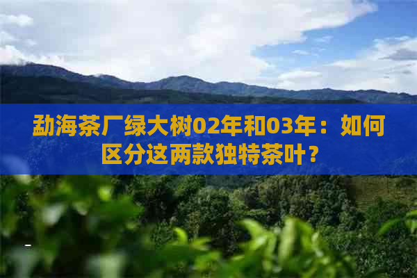 勐海茶厂绿大树02年和03年：如何区分这两款独特茶叶？