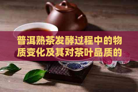 普洱熟茶发酵过程中的物质变化及其对茶叶品质的影响探究