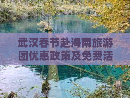 武汉春节赴海南旅游团优惠政策及免费活动详情解析