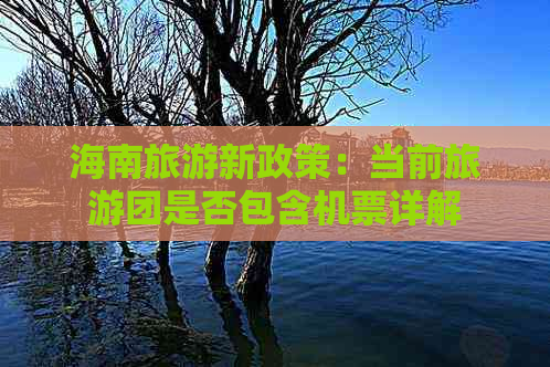 海南旅游新政策：当前旅游团是否包含机票详解