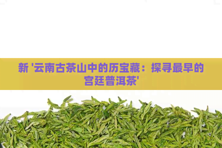 新 '云南古茶山中的历宝藏：探寻最早的宫廷普洱茶'