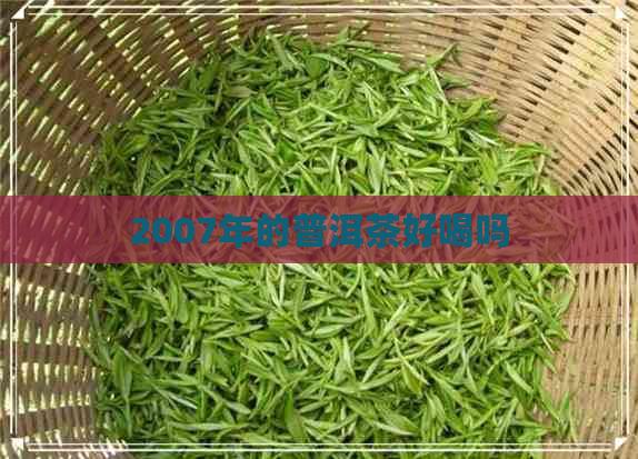 2007年的普洱茶好喝吗