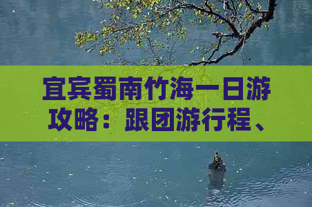 宜宾蜀南竹海一日游攻略：跟团     程、特色体验与必备指南