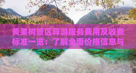 黄果树景区导游服务费用及收费标准一览：了解全面价格信息与合规指南