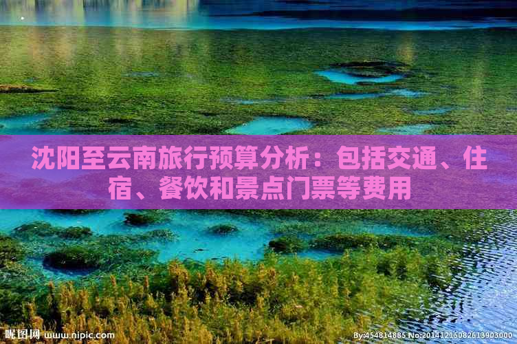 沈阳至云南旅行预算分析：包括交通、住宿、餐饮和景点门票等费用