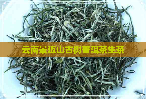 云南景迈山古树普洱茶生茶