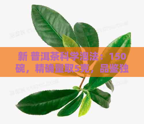 新 普洱茶科学泡法：150碗，精确量取5克，品鉴独特风味