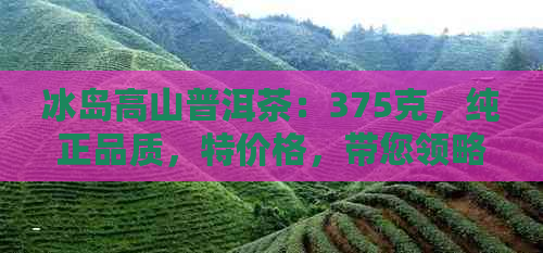 冰岛高山普洱茶：375克，纯正品质，特价格，带您领略北极之巅的茶香世界