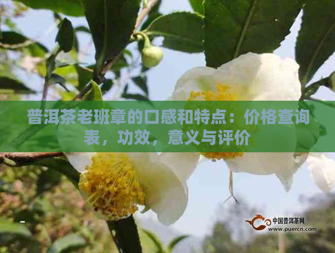 普洱茶老班章的口感和特点：价格查询表，功效，意义与评价