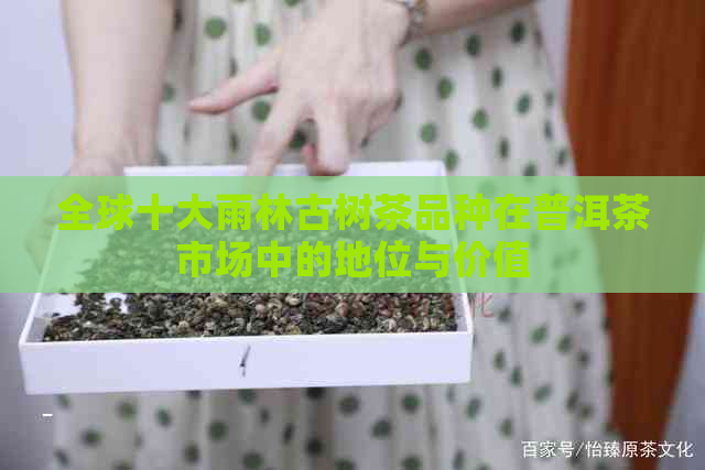 全球十大雨林古树茶品种在普洱茶市场中的地位与价值