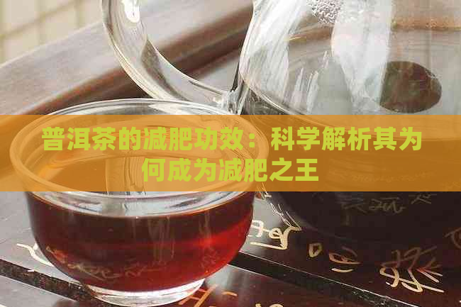 普洱茶的减肥功效：科学解析其为何成为减肥之王