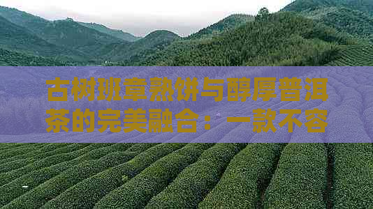 古树班章熟饼与醇厚普洱茶的完美融合：一款不容错过的传统茶饮