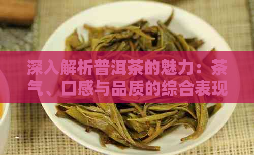 深入解析普洱茶的魅力：茶气、口感与品质的综合表现