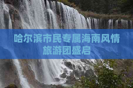 哈尔滨市民专属海南风情旅游团盛启