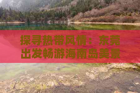 探寻热带风情：东莞出发畅游海南岛美景之旅