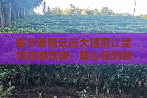 春节假期云南大理丽江昆明旅游攻略：精心规划的不容错过的更佳路线