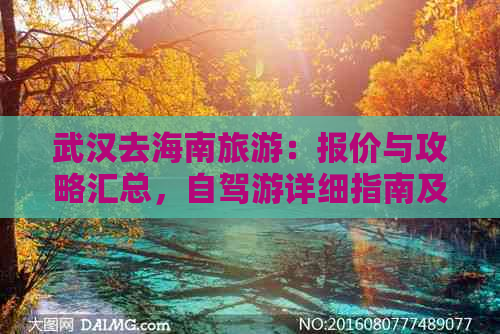 武汉去海南旅游：报价与攻略汇总，自驾游详细指南及费用解析