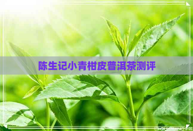 陈生记小青柑皮普洱茶测评